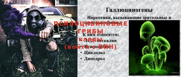 PSILOCYBIN Армянск