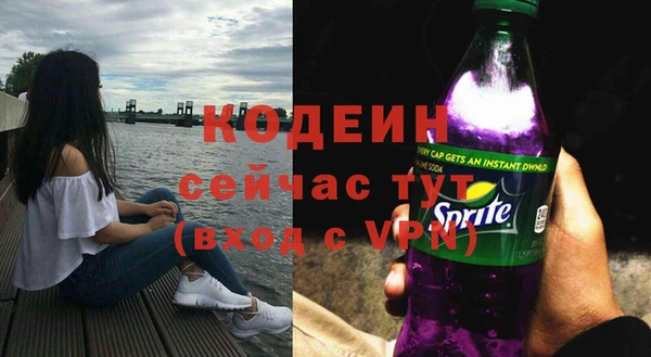 прущий лед Арсеньев